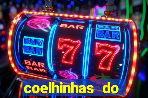 coelhinhas do brasil recife